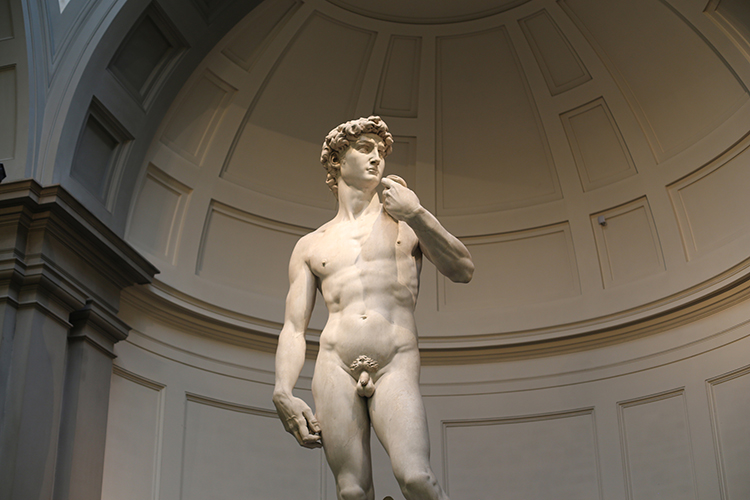 Florence City Center including the Accademia with Michelangelo’s David Skip-the-Line Guided Tour – Private Tour in French