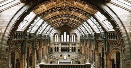 Natural History Museum of London Skip-the-Line Guided Tour – Private Tour in French