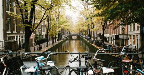 History of Amsterdam – City Center Guided Walking Tour – Private Tour in French