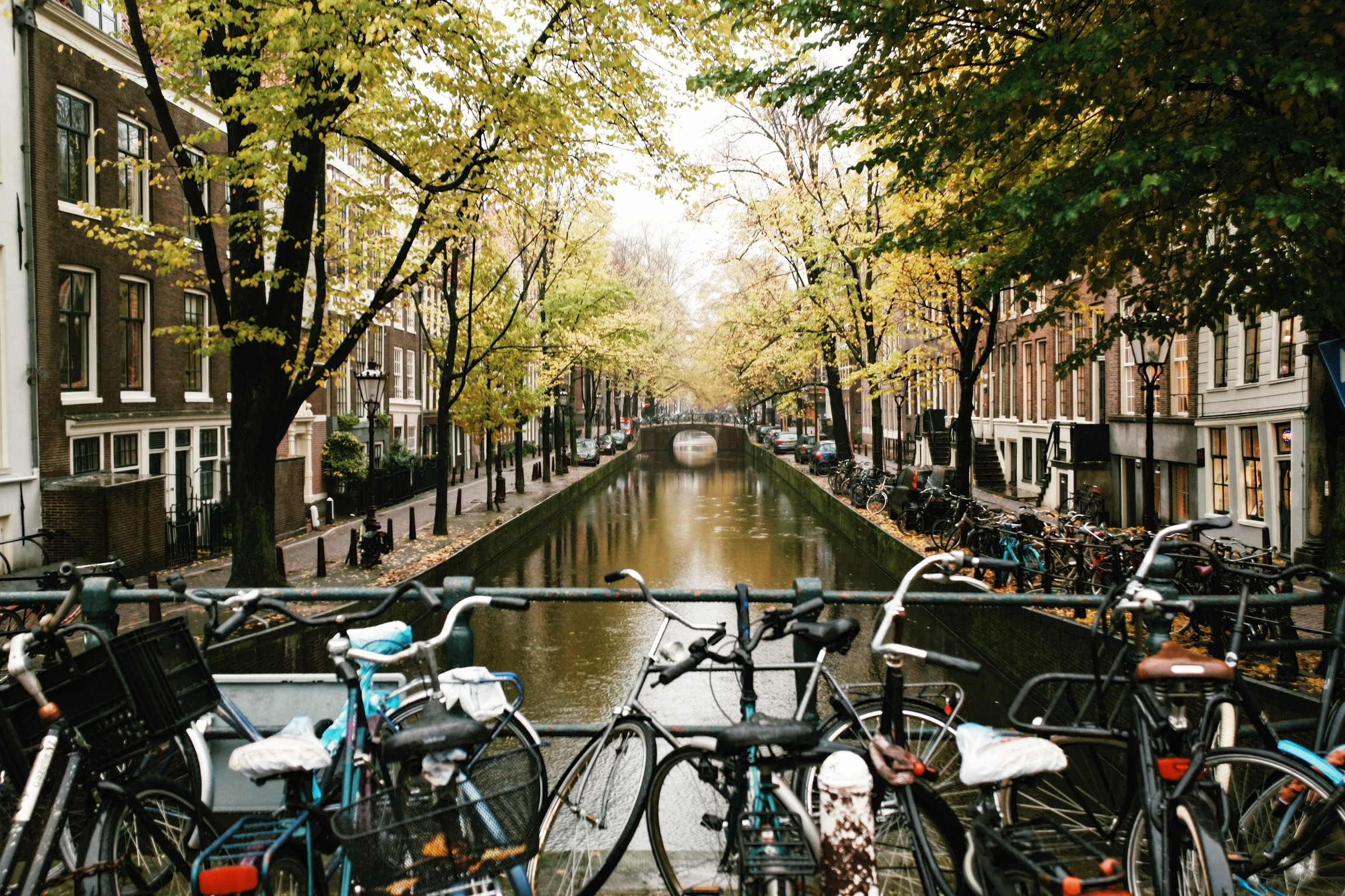Tour-City-Guided-Amsterdam